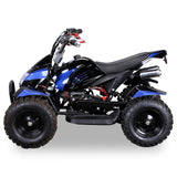 COBRA ATV KINDERQUAD POCKETQUAD MINIQUAD QUAD POCKET BIKE 49CC E-START 2-TAKT / Farbwahl