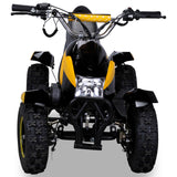 COBRA ATV KINDERQUAD POCKETQUAD MINIQUAD QUAD POCKET BIKE 49CC E-START 2-TAKT / Farbwahl