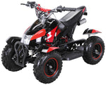 COBRA ATV KINDERQUAD POCKETQUAD MINIQUAD QUAD POCKET BIKE 49CC E-START 2-TAKT / Farbwahl