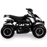 COBRA ATV KINDERQUAD POCKETQUAD MINIQUAD QUAD POCKET BIKE 49CC E-START 2-TAKT / Farbwahl