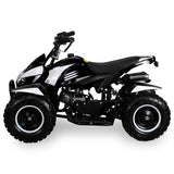 COBRA ATV KINDERQUAD POCKETQUAD MINIQUAD QUAD POCKET BIKE 49CC E-START 2-TAKT / Farbwahl