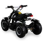 COBRA ATV KINDERQUAD POCKETQUAD MINIQUAD QUAD POCKET BIKE 49CC E-START 2-TAKT / Farbwahl