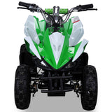 RACER ELEKTRO 800W ATV KINDERQUAD POCKETQUAD MINIQUAD QUAD POCKET BIKE Farbwahl