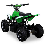 RACER ELEKTRO 800W ATV KINDERQUAD POCKETQUAD MINIQUAD QUAD POCKET BIKE Farbwahl