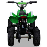 RACER ELEKTRO 800W ATV KINDERQUAD POCKETQUAD MINIQUAD QUAD POCKET BIKE Farbwahl