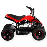 RACER ELEKTRO 800W ATV KINDERQUAD POCKETQUAD MINIQUAD QUAD POCKET BIKE Farbwahl