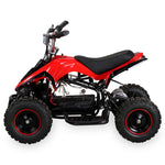 RACER ELEKTRO 800W ATV KINDERQUAD POCKETQUAD MINIQUAD QUAD POCKET BIKE Farbwahl