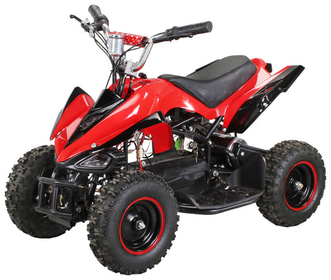 RACER ELEKTRO 800W ATV KINDERQUAD POCKETQUAD MINIQUAD QUAD POCKET