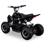 RACER ELEKTRO 800W ATV KINDERQUAD POCKETQUAD MINIQUAD QUAD POCKET BIKE Farbwahl