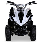 RACER ELEKTRO 800W ATV KINDERQUAD POCKETQUAD MINIQUAD QUAD POCKET BIKE Farbwahl