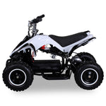 RACER ELEKTRO 800W ATV KINDERQUAD POCKETQUAD MINIQUAD QUAD POCKET BIKE Farbwahl