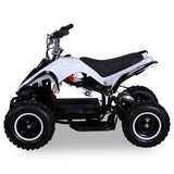 RACER ELEKTRO 800W ATV KINDERQUAD POCKETQUAD MINIQUAD QUAD POCKET BIKE Farbwahl