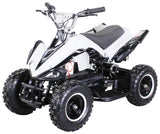 RACER ELEKTRO 800W ATV KINDERQUAD POCKETQUAD MINIQUAD QUAD POCKET BIKE Farbwahl