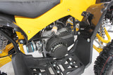 RENEBLADE ATV KINDERQUAD TORINO POCKETQUAD MINIQUAD QUAD POCKET BIKE 49CC E-START
