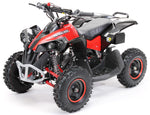 RENEBLADE ATV KINDERQUAD TORINO POCKETQUAD MINIQUAD QUAD POCKET BIKE 49CC E-START