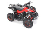 RENEBLADE ATV KINDERQUAD TORINO POCKETQUAD MINIQUAD QUAD POCKET BIKE 49CC E-START