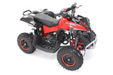 RENEBLADE ATV KINDERQUAD TORINO POCKETQUAD MINIQUAD QUAD POCKET BIKE 49CC E-START