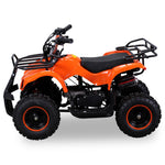 TORINO ATV KINDERQUAD POCKETQUAD MINIQUAD QUAD POCKET BIKE 49CC E-START blau/schwarz