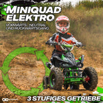 Elektro 1000W ATV Kinderquad Pocketquad Miniquad Racer Quad Pocket Bike Farbwahl